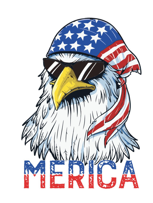 American Love 2